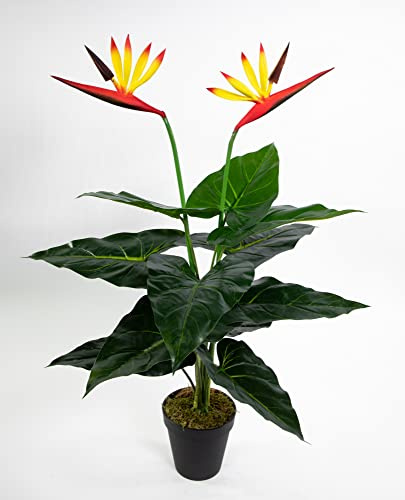 Seidenblumen Roß Strelitzie Real Touch 60cm im Topf ZJ künstliche Strelitzienpflanze Kunstblumen Paradiesvogelblume