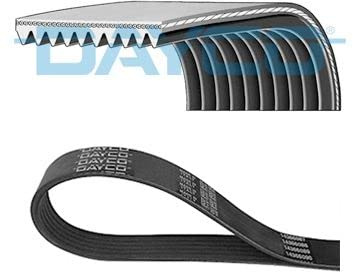 DAYCO Cinghia Poly-V 10PK1162HD