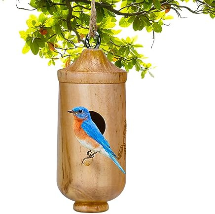 Maison en bois pour Colibri - Maison des moineaux en bois balançoire, maisons à oiseaux bourdonnantes en bois naturel pour extérieur, jardin