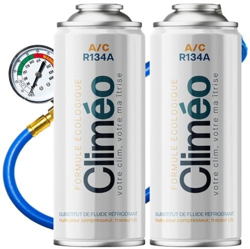 CLIMÉO Kältemittelersatz R134a R12 Nachfüllset - Klimaanlage selbst befüllen & warten - Entspricht 625g R134a - Öl & Dichtmittel - Für PKW bis Bj. 2016