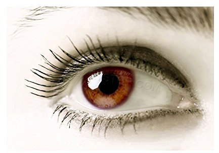 Wee Blue Coo Photo Brown Eye Human Woman Girl Anatomy Wall Art Print