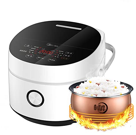Cuociriso, Vaporiera E Yogurtiera 4L, Fornello Rotondo Argento A 5 Strati, Fodera Antiaderente Per Dormitorio Familiare Per 2~6 Persone Cuociriso