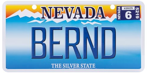 USA Staatskennzeichen mit Namen. Namensschild aus Aluminium. Wandschild, Tafel, Türschild. US-Kennzeichen. Schild mit Saugnäpfen. (BERND)