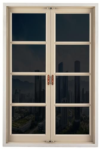 Pellicola Specchio per Vetri Finestre 100 x 200 cm Anti-Uv Controllo Del Calore Pellicola per Finestre Unidirezionale Oscurante per Vetri per Tutte Le, Nero