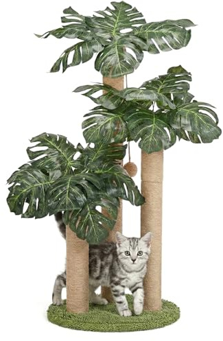 31.5Inch Cat Scratching Post,Cat Scratcher Tree with 3 Scratching Poles & 2 Interactive Dangling Balls,Cats Scratching Posts for Indoor Kitten & Adult Cats (Monstera tree) | Cat Scratcher Tree, Cat Scratching Posts,3 Scratching Poles,2 Interactive Dangling Balls, For Indoor Kitten & Adult Cats