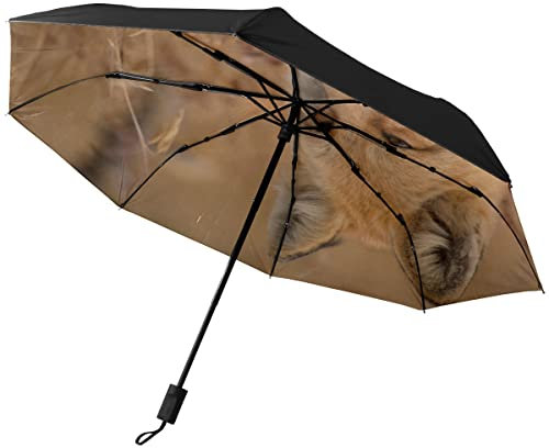 GISPOG Automatischer, faltbarer Regenschirm, Fuchs, Tiere, wasserdicht, kompakt, für Sonne und Regen, einfarbig, Einheitsgröße