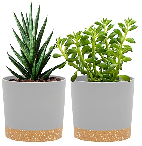 QCQHDU 12.7cm Plant Pot, 2 Pack Planters for Indoor Plants with Drainage Holes & Saucer, Outdoor Flower Pots Home Garden Modern Decor (Light Grey, 12.7cm)