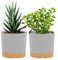 QCQHDU Lot de 2 Pots de Plantes 12.7cm, Pots pour Plantes d'intérieur avec Trous de Drainage et Base Amovible, Soucoupe décorative Moderne pour jardinières d'extérieur (Gris Clair 12.7cm)