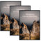 kollyseek 3 Pack 40x60cm Bilderrahmen Moderner Posterrahmen mit kratzfesten Acrylgläsern für horizontale oder vertikale Wandmontage (Schwarz)