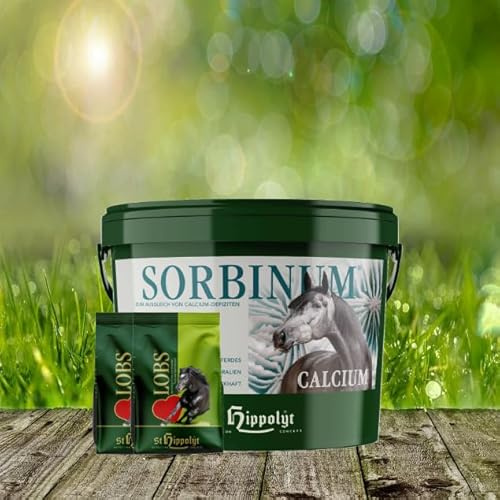 St. Hippolyt Sorbinum Calcium Pferdefutter mit Meeresmineralien und Korallenkalk, pelletiert für erhöhten Calciumbedarf, inkl. Belohnungswürfel – stärkt Knochen und Vitalität
