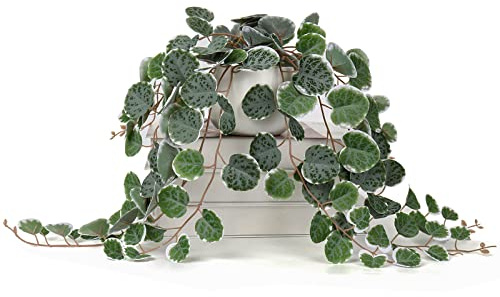 Briful Fake Plants Indoor 16'' Artificial String of Hearts Plants with Ceramic Pot Faux Draping Vine Plants for Home Bathroom Table Shelf Office Hotel Decor