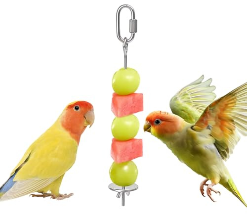 Brochette Fruits pour Oiseaux | Chargeur En Acier Inoxydable Pour Légumes,Support De Nourriture Pour Perruche,Pour Cage Ara Calopsite Conure Fringuel Inséparable Cacatoès Petits Animaux
