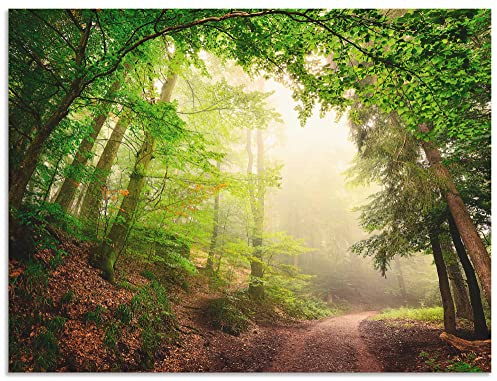 ARTLAND Wanddeko Wandbild Alu Verbundplatte für Innen & Outdoor Bild Landschaften Wald Foto Grün Natürliche Torbögen durch Bäume B6UU