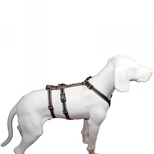 Feltmann NoExit Hundegeschirr® - ausbruchssicher, Panikgeschirr, braun Muster, Bauchumfang 55-75 cm, 20 mm Bandbreite