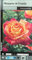 PLANTA TREPADORA NATURAL ROSAL MARQUESA URQUIJO 20 180CM PARA EXTERIOR FLOR BICOLOR ROJA Y AMARILLA
