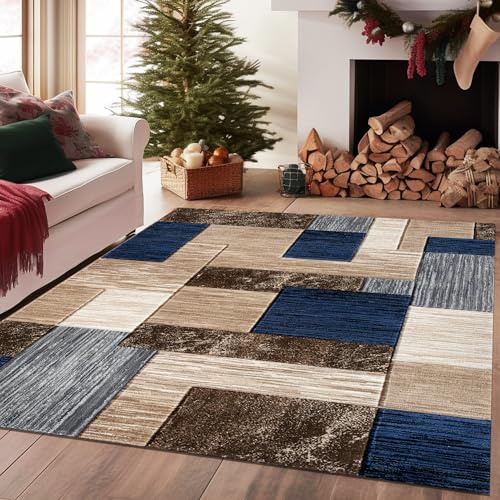 PHP Large Area Rugs for Hallways, Bedroom and Kitchen Rugs Non Slip Majestic Abstract Solid Design High Pile Thick Soft Living Room Decor Non Shedding Floor Rugs, Des 1-120 x 170 cm
