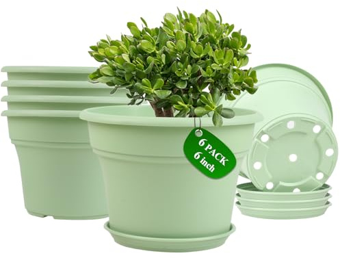 Pottiffe 6 Inch Plastic-Flower-Pot-for-Indoor-Plants, 6 Pack Large Outdoor Planter Pot with Drainage Holes & Saucers, Resin Decorative Garden Pots Planters