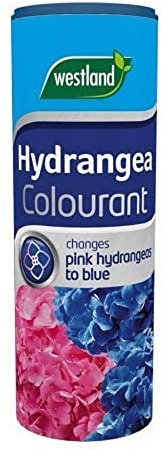 Westland Hydrangea Colourant, 500 g
