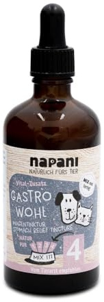 napani GastroWohl Magen-Tinktur für Hunde & Katzen, zur Pflege der Magenschleimhaut, Ergänzungsfuttermittel für Hunde OHNE Alkohol, bei Magenverstimmungen, Appetitlosigkeit & Durchfall, 1 x 100ml