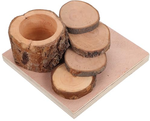 HYTROVE Hamster Kletterspielzeug aus Apfelholz mit Futterteller Holzplattform und Leiter Beißfestes Kleintier Spielgerät für Zwerghamster Ratten Meerschweinchen zur Beschäftigung und