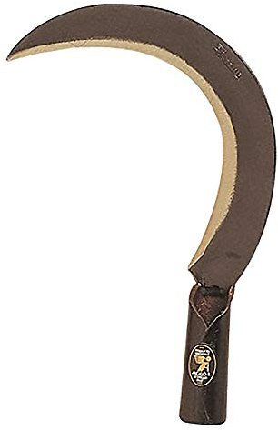 PEBSHOP RONCOLA SCANSANO CM 26