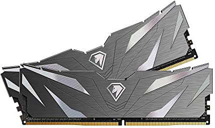 Netac Shadow RAM DDR4 16Go (2×8Go) 3200MHz Cl16 XMP 2.0 Haute Performance pour PC de Bureau (Noir)