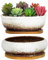 ARTKETTY Macetas suculentas, macetas de cerámica para suculentas con Bandeja de bambú de Drenaje, 1 Maceta Rectangular + 1 Maceta Redonda para Plantas de Interior de Cactus bonsái para el hogar