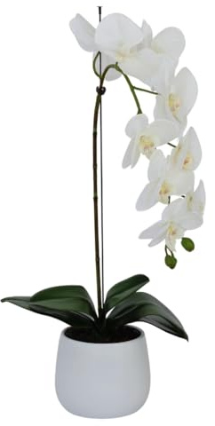 Elegant Large Single Stem White Real Touch Artificial Potted Orchid (65cm) in Round White Ceramic Pot