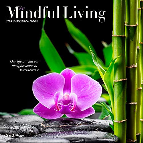 Mindful Living | 2024 12 x 24 Inch Monthly Square Wall Calendar | Brush Dance | Art Quotes Photography Inspiration
