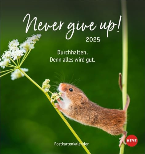 Never give up! Postkartenkalender 2025: Süße Tiere in einem Postkarten-Fotokalender mit motivierenden Botschaften. Kleiner Kalender zum Aufstellen und Aufhängen. (Postkartenkalender Heye)