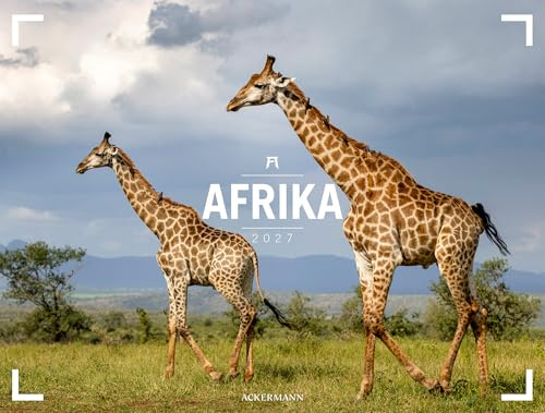 Afrika Gallery Kalender 2027 | Bildgewaltiger Afrika-Kalender im großen Querformat (66x50 cm) | Tiere und Landschaft im Großformat