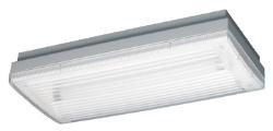 Gewiss GW80328 éclairage Lampe Murale (Brossé Blanc IP40 2G11 FSD 24W-)