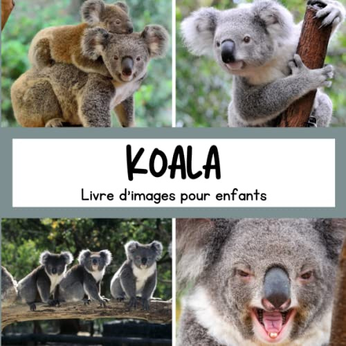 Livre d'images pour enfants - Koala: Découvrir les Koalas en image - Enfants de 2 à 5 ans