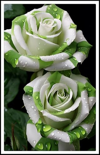 Resistente al frío - Raíces de rosas - Vertical - Decoración paisajística para terraza y jardín - /【CXXFGFT】.-1 rizoma-F