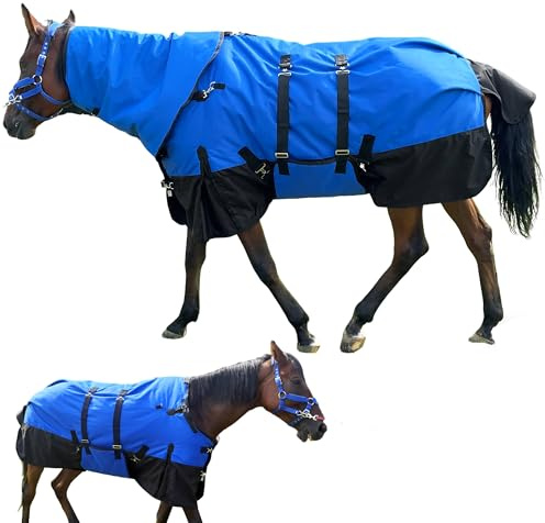 Pferdedecke, schwere Pferdedecke mit 300 g Poly-Füllung, Halsabdeckung und Bauchwickel, 1680D wasserdichte Winterdecken für Pferde (Blau, 155 cm)