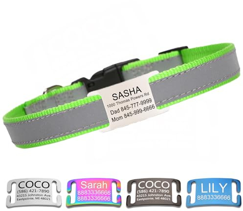 Personalisiertes reflektierendes Hundehalsband mit Namensplatte,Grasgrün | Gravierter Name,geräuschloser Edelstahl‑Anhänger,genähtes Reflektionsband,einstellbares Nylon‑Halsband für alle Hundegrößen