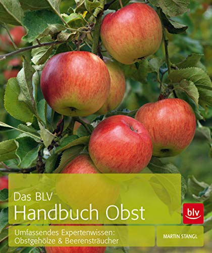 Das BLV Handbuch Obst: Umfassendes Expertenwissen: Obstgehölze & Beerensträucher (BLV Selbstversorgung)