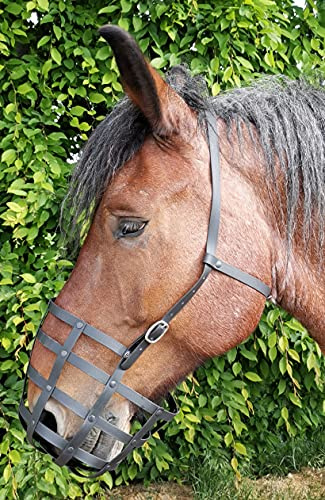 Heavy Horse Parts Fressbremse Strong Extra