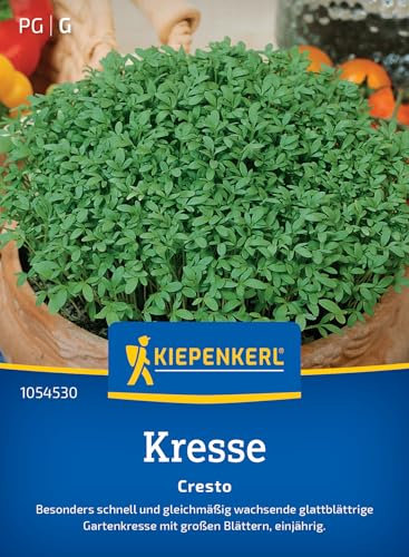 Kiepenkerl Kressesamen Cresto 1054530 - Die perfekte Kressesorte für besonders schnell und gleichmäßig wachsende Kresse. - Saatgut