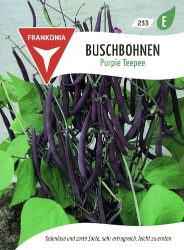FRANKONIA® Buschbohne, Purple Teepee - Bohnen-Samen Gemüse-Samen Saatgut Samen (Phaseolus vulgaris)