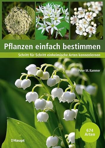 Pflanzen einfach bestimmen: Schritt für Schritt einheimische Arten kennenlernen