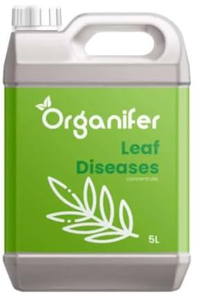 Concentré Pour Feuilles De Plantes – Maladies - 5 Litres - 5000 M2 - Catégorie Biostimulant – Pour Plantes D'Intérieur – Pour Jardin, Rosiers, Fleurs, Légumes, Fruits - Organifer