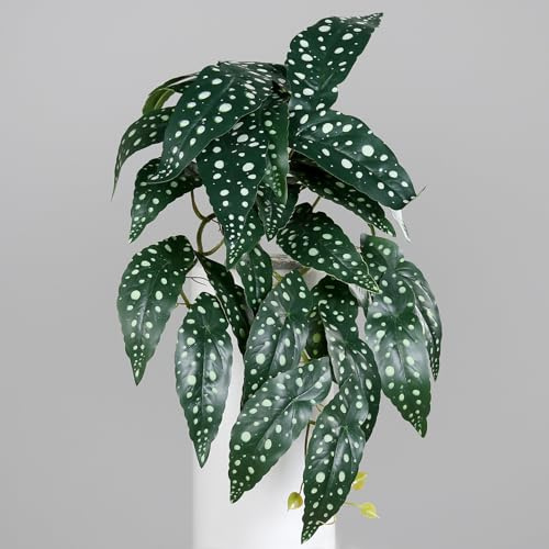Seidenblumen Roß Künstliche Forellenbegoniebusch 50cm DP mit natürlichen Blätter aus Kunststoffmaterial (Grün-Weiß - Forellenbegonie) …