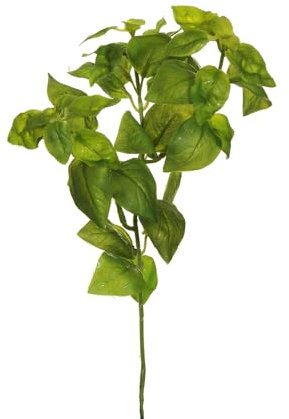 Zelda Bomboniere Ramo Basilico Real Touch Artificiale Verde Decorazione Composizione Floreale