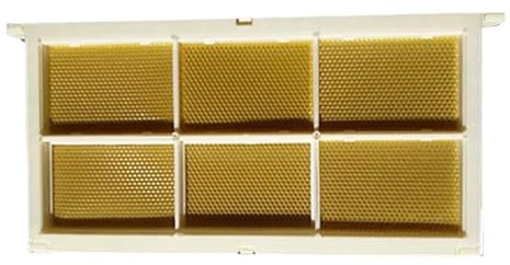 Forniture per l'apicoltura Questo Set Di Scatole For Nido D'ape Comprende Una Cornice In Plastica E Sei Trasparenti For Conservare I Nidi Attrezzatura per l'apicoltura