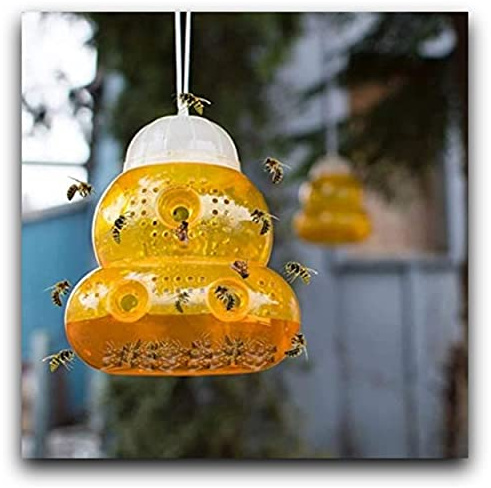 Cepema 3 x Wespenfalle Insektenfalle giftfrei
