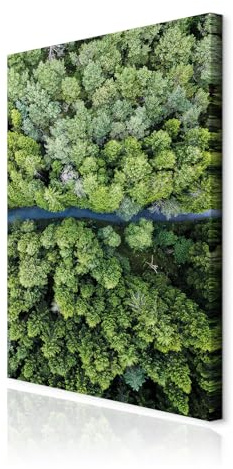 decomonkey Wandbilder Natur 60x90 cm 1 Teilig Leinwandbilder Kunstdruck | Strukturleinwand, Holzkeilrahmen, Bild auf Leinwand, Wanddeko, Wohnzimmer, Wanddekoration, Wald