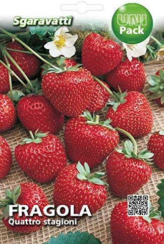 SGARAVATTI Busta Semi Orto Fragola Quattro Stagioni