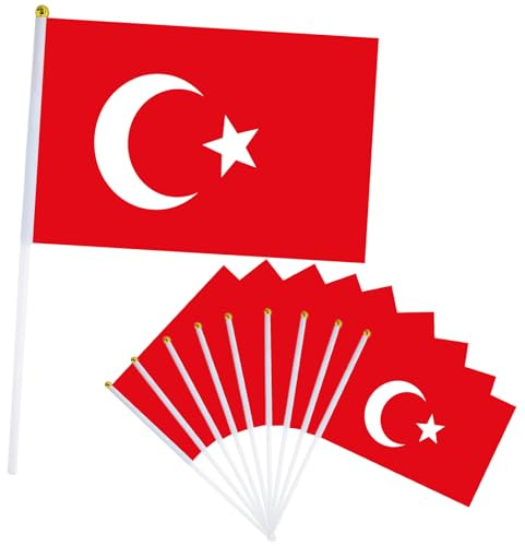 Bandiera della Coppa del Mondo sventolando (MiniFlag-Turchia)