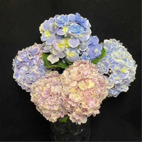 Perfekt winterharte mehrjährige Hortensie, mehrjährige Balkon- und Gartenpflanze-5zwiebeln-F